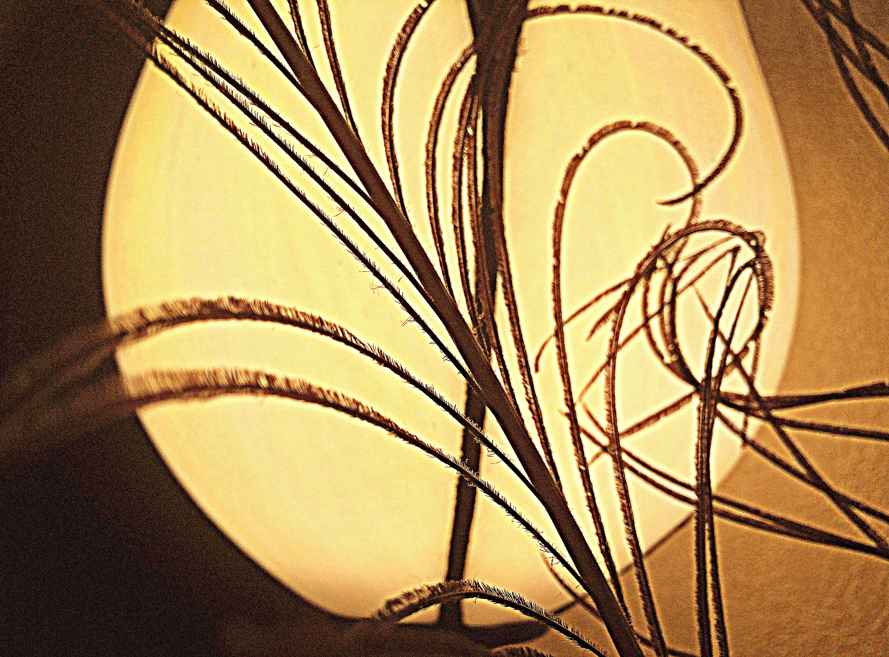 NEW The ROGATCHI FOUNDATION HELICON ANNUAL AWARD FOR ASPIRING ARTIST