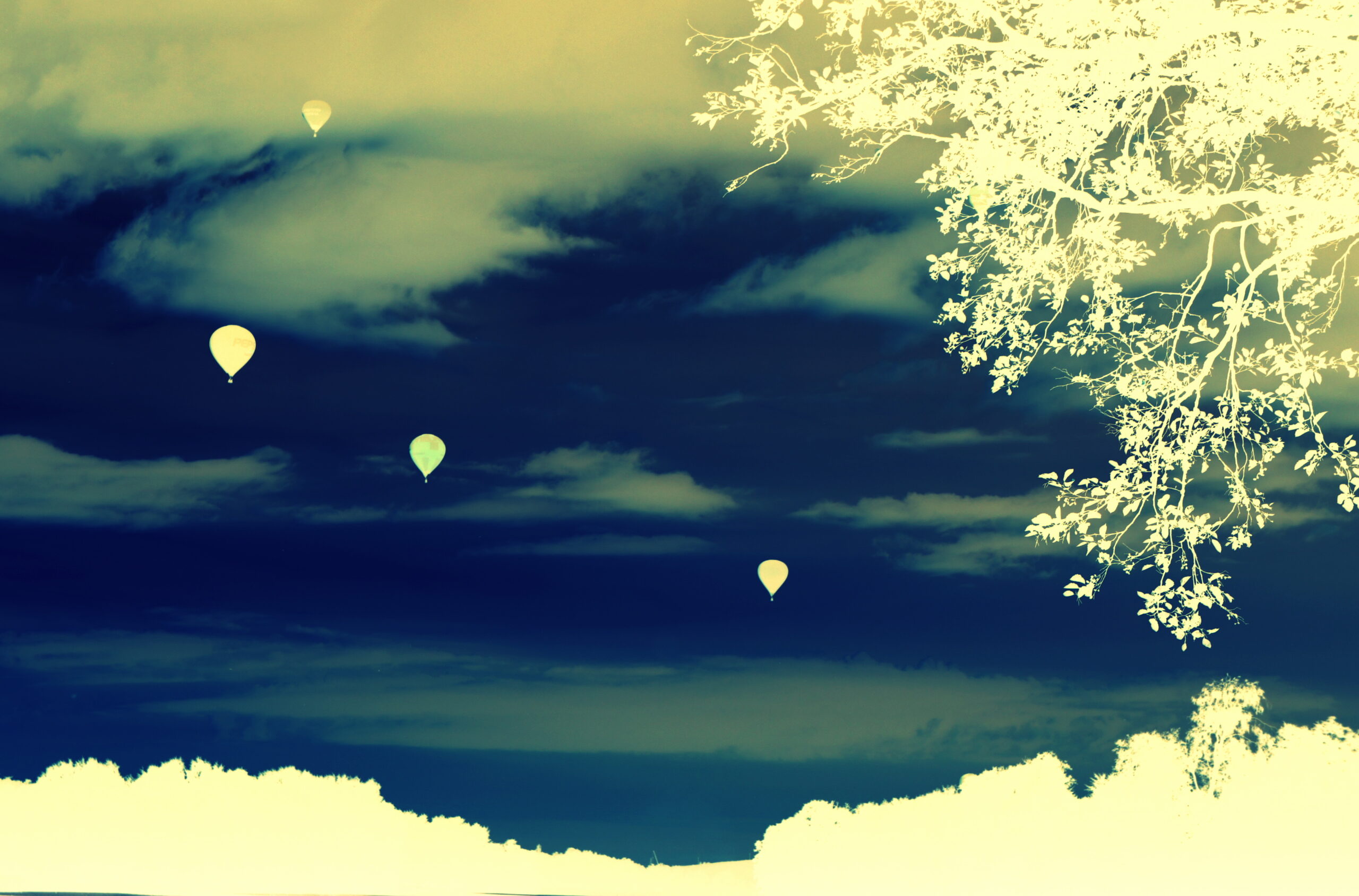 DONATION OF THE INNA ROGATCHI 20-PIECE COLLECTION OF ART WORK TO THE ITALIAN NATIONAL INSTITUTE OF HEALTH